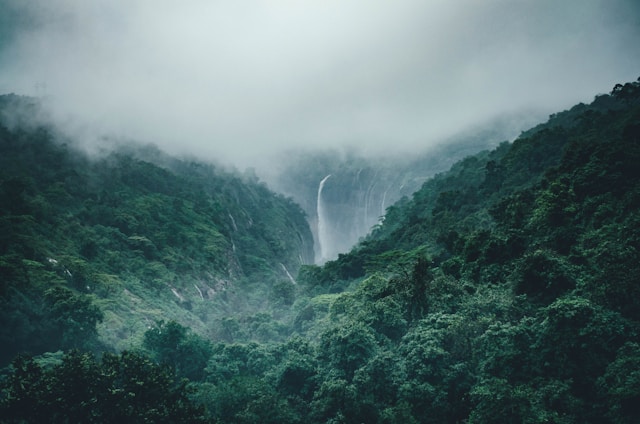 Environment Friendly Image